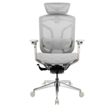  Ghế công thái học GTCHAIR Butterfly Pro 2024 | Màu xám 