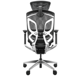  Ghế công thái học GTCHAIR Butterfly Pro 2024 | Màu đen 