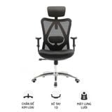  Ghế công thái học Ergonomic Sihoo M18 | Đen 