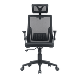  Ghế công thái học Ergonomic E-Dra EEC218 | Đen 