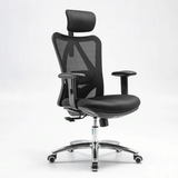  Ghế công thái học Ergonomic Sihoo M18 | Đen 