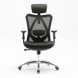  Ghế công thái học Ergonomic Sihoo M18 | Đen 