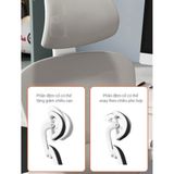  Ghế công thái học Ergonomic TMS09 | Xám 