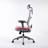  Ghế công thái học Ergonomic Warrior Hero Series WEC502 | Hồng Xám 
