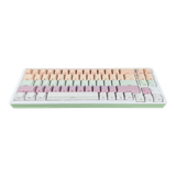  Bàn Phím Cơ Không Dây Xinmeng M71RGB , White Pink (Case Nhôm,Triple Mode, Hostswap, Rgb) 