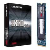  Ổ Cứng SSD 256G Gigabyte M.2 NVMe PCIe Gen3x4 (GP-GSM2NE3256GNTD) 
