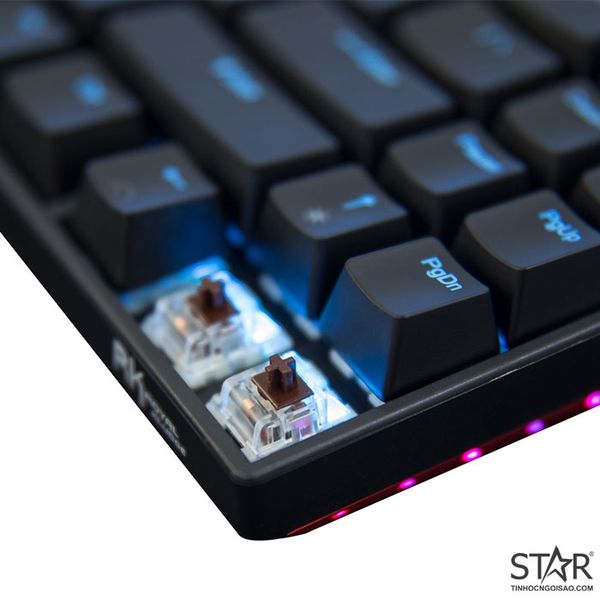 Bàn Phím Cơ Royal Kludge RK71 Ice Blue Brown Switch Wireless (Đen ...