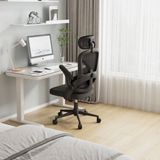  Ghế công thái học Ergonomic Sihoo M102C | Đen 