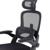 Ghế công thái học Ergonomic Sihoo M102C | Đen 
