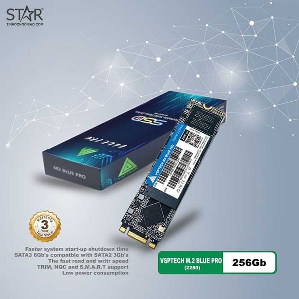  Ổ cứng SSD VSPTech Blue Pro 256GB | SATA III, M.2 2280 (VSPM2-256G BP) 