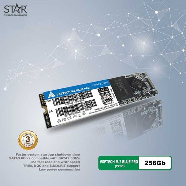  Ổ cứng SSD VSPTech Blue Pro 256GB | SATA III, M.2 2280 (VSPM2-256G BP) 