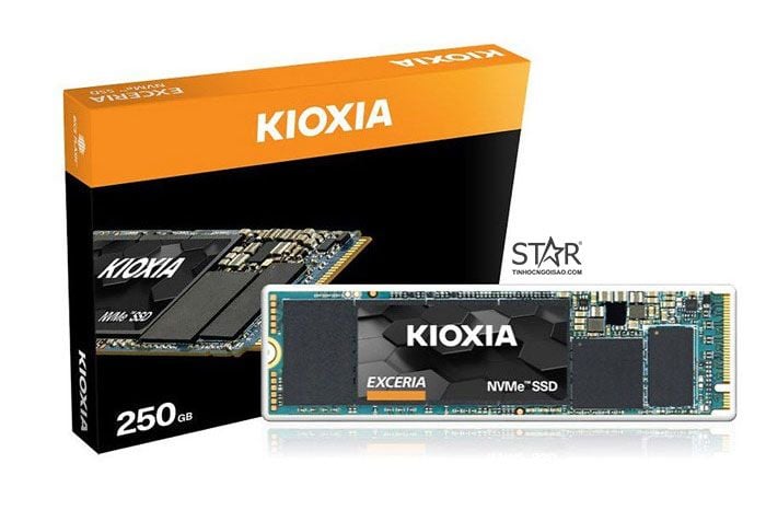 Ổ cứng SSD 250G KIOXIA M.2 NVMe PCIe 2280 BiCS FLASH TLC (LRC10Z250GG8)