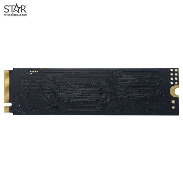 Ổ cứng SSD Patriot P300 256GB | PCIe Gen3 x4 NVMe, M.2 2280 (P300P256GM28) 