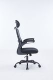  Ghế công thái học Ergonomic Warrior – Pawn series – WEC106 | Đen 