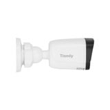  Camera IP Tiandy TC-C321N 