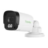  Camera IP Tiandy TC-C321N 