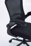  Ghế công thái học Ergonomic Warrior – Pawn series – WEC106 | Đen 