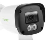  Camera IP Tiandy TC-C321N 