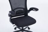  Ghế công thái học Ergonomic Warrior – Pawn series – WEC106 | Đen 