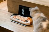  Bàn phím High-End Dry Studio Black Petbrick (Calico) 