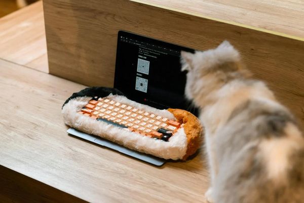  Bàn phím High-End Dry Studio Black Petbrick (Calico) 