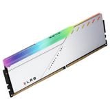  Ram PNY Udimm XLR8 RGB Silver 16GB DDR4 3200MHz (MD16GSD4320016XSRGB) 