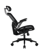  Ghế Công Thái Học Ergonomic Gaming COUGAR Speeder One 
