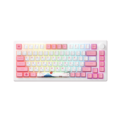 Bàn Phím Cơ Akko MOD007B-HE PC Tokyo Sakura Pink Magnetic Switch