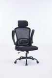  Ghế công thái học Ergonomic Warrior – Pawn series – WEC106 | Đen 