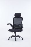  Ghế công thái học Ergonomic Warrior – Pawn series – WEC106 | Đen 
