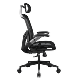 Ghế Công Thái Học Ergonomic Gaming COUGAR Speeder One 