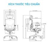 Ghế công thái học GTCHAIR Ivino MT | Màu đen, kèm gác chân 