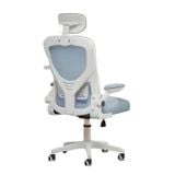  Ghế công thái học TSA01-LB | Xanh 
