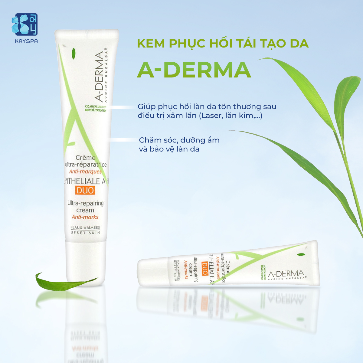 Kem phục hồi và tái tạo da A-derma