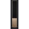 LOA DYNAUDIO CLASSIC EVOKE 50