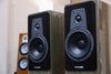 LOA DYNAUDIO CONTOUR 20i