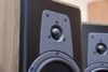 LOA DYNAUDIO CONTOUR 20i