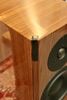 LOA DYNAUDIO DIGITAL FOCUS 30XD