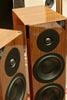 LOA DYNAUDIO DIGITAL FOCUS 30XD