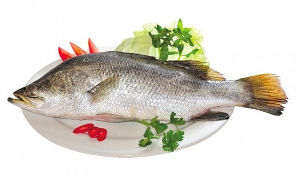 CÁ CHẼM NƯỚC LỢ CẮT VIÊN GÓI 300G