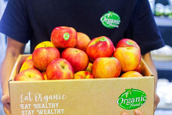 Táo hữu cơ juliet size 64-88