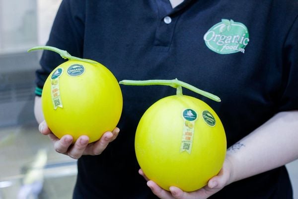 Dưa lê hồng kim hữu cơ - 1kg