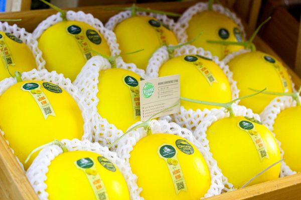 Dưa lê hồng kim hữu cơ - 1kg