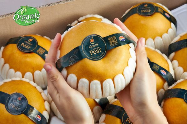 Lê Hàn Quốc (Korean pear)