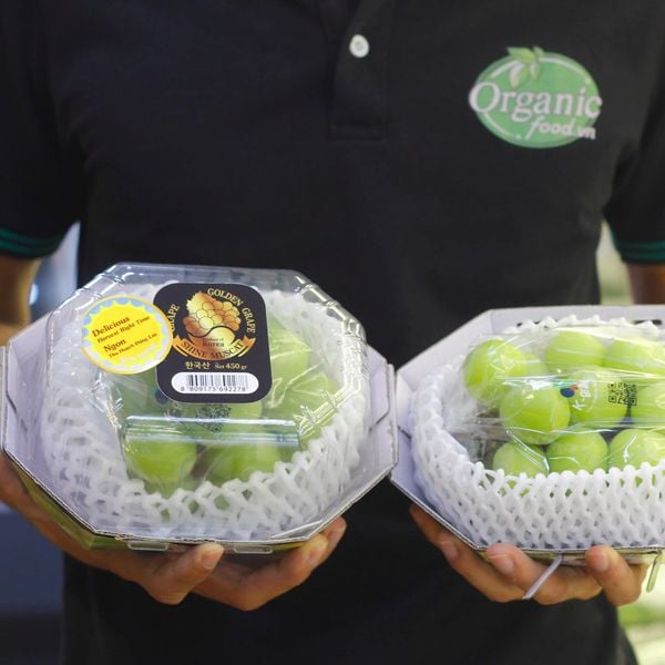 Nho mẫu đơn Hàn Quốc