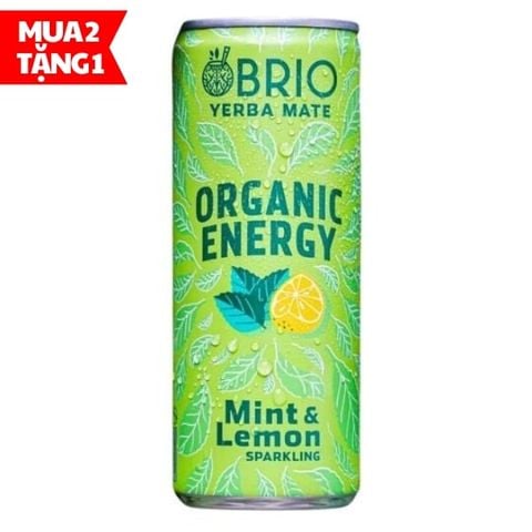 Trà năng lượng hữu cơ hương bạc hà & chanh Brio Yerba Mate