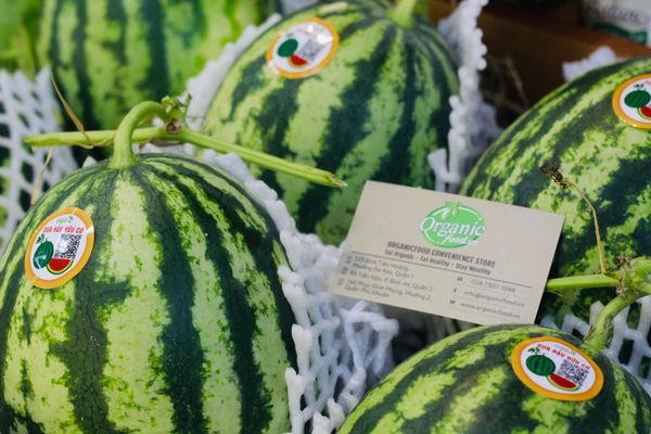 Dưa hấu có hạt hữu cơ Quế Lâm - 1kg