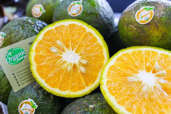 Cam sành hữu cơ