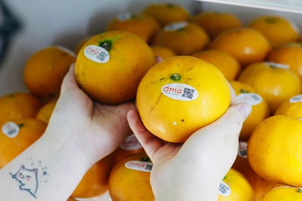 Quýt úc Oma Organicfood