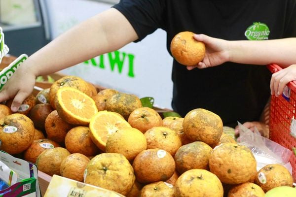 Cam sành hữu cơ Măng Đen - 1kg